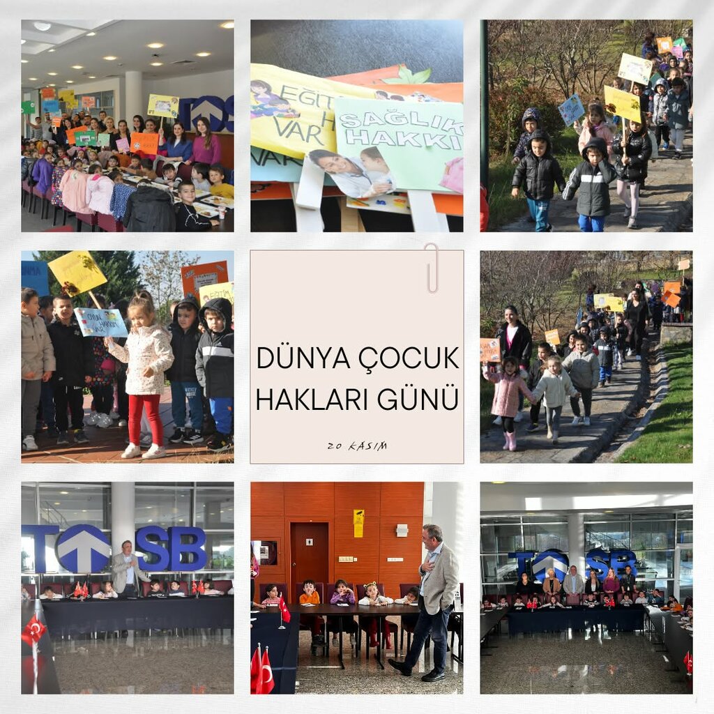 Management company Tosb Organized Industrial Zone Directorate, Cayirova, photo