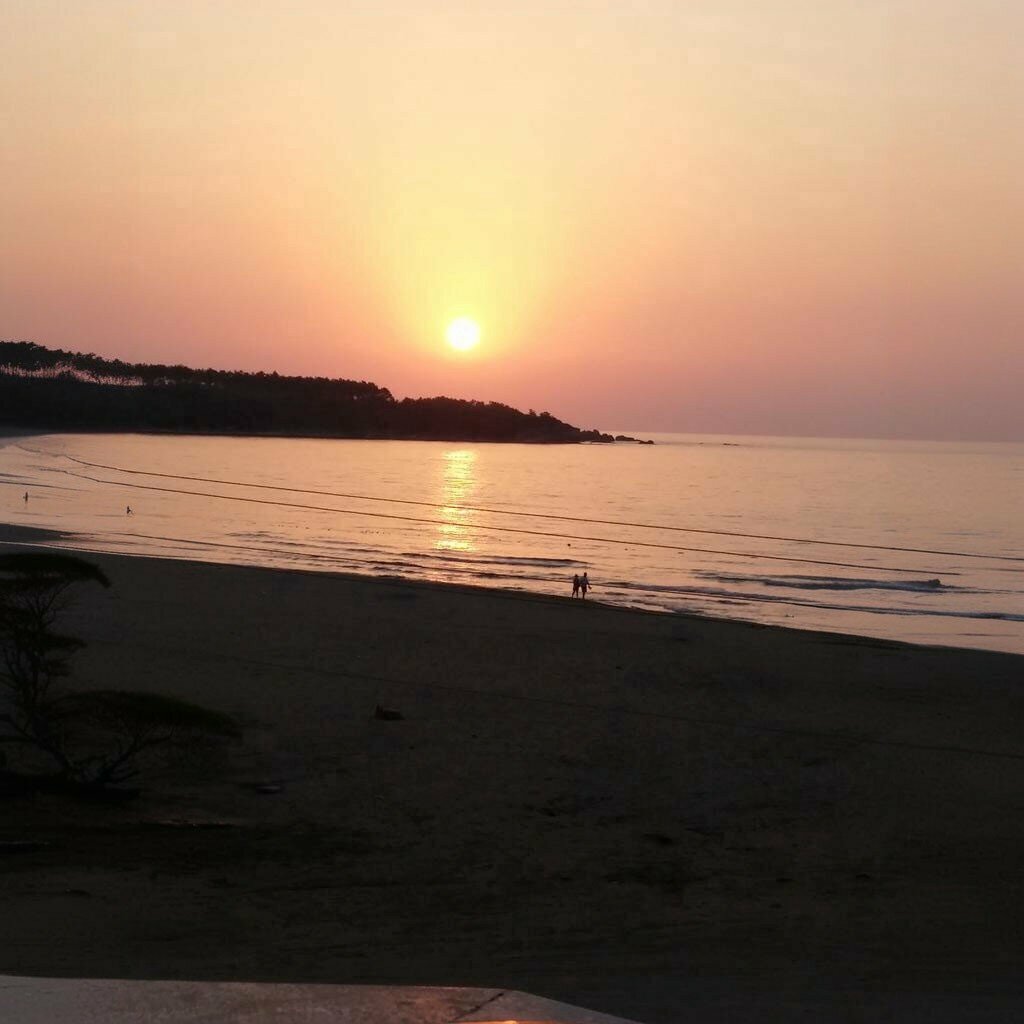 Lumber Mehmet the Lumberjack, Kandira, photo