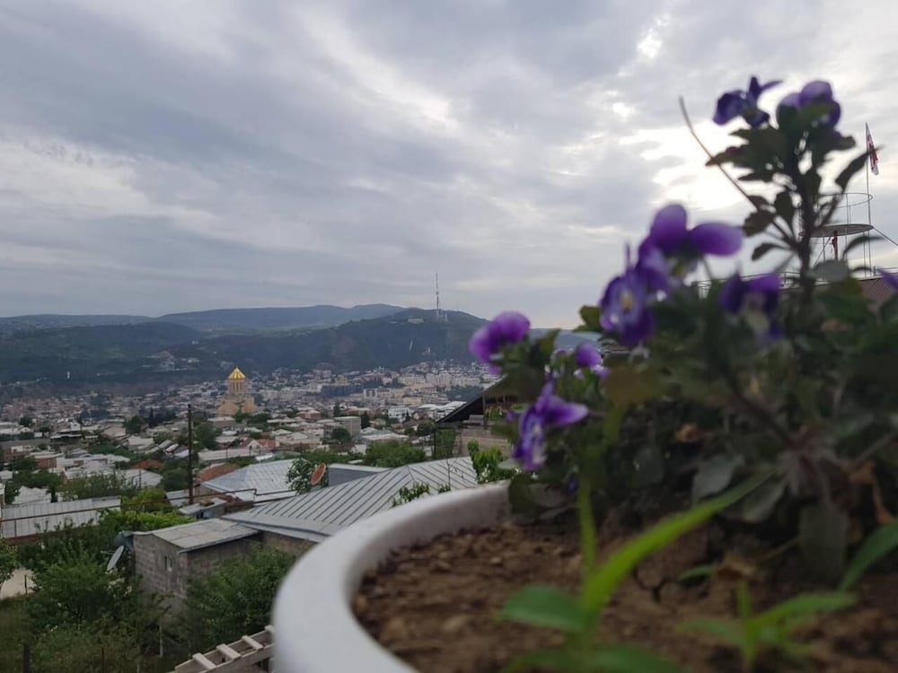 Фото Отель Upstairs Hotel Tbilisi