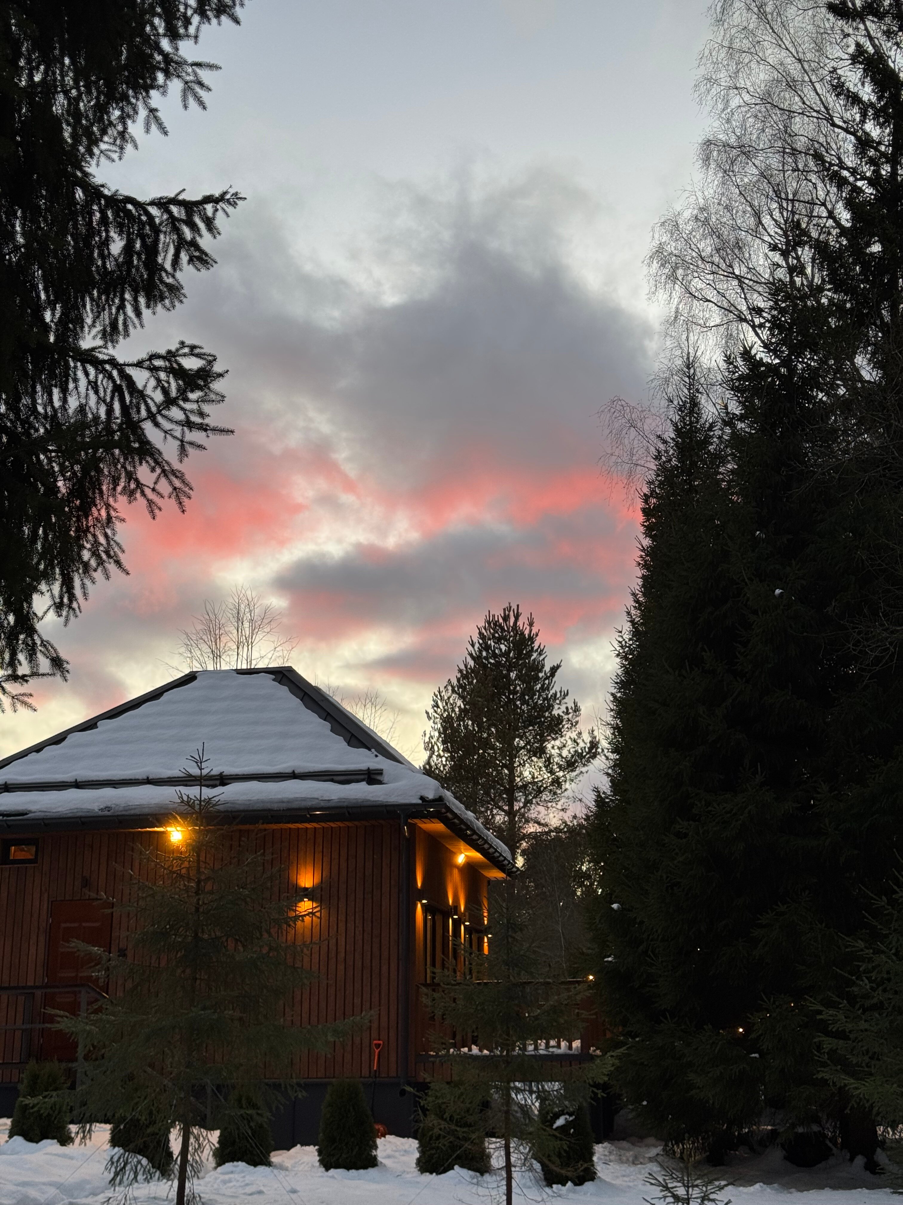 Фото Дом и Елки