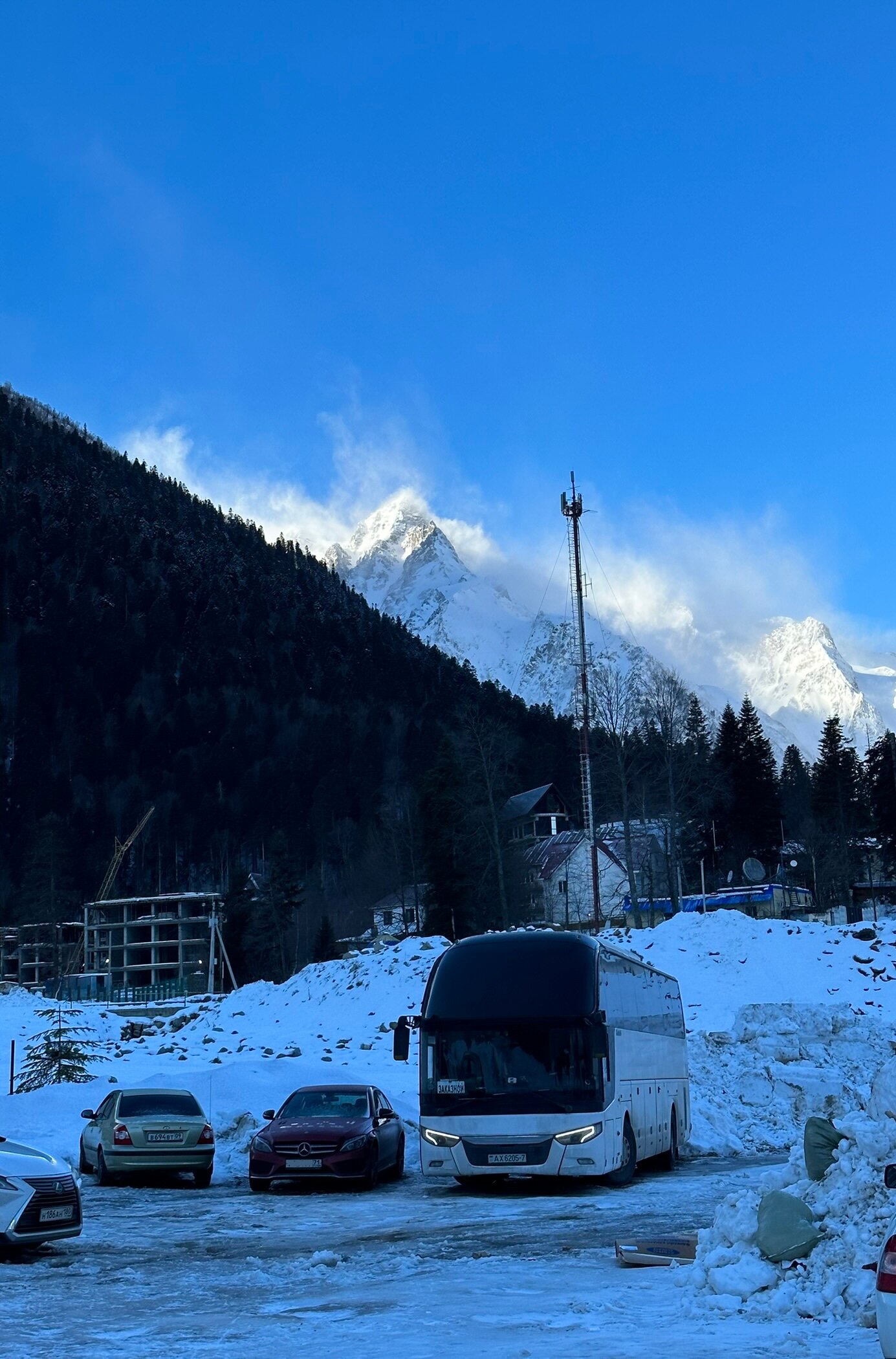 Фото Лесная Сказка