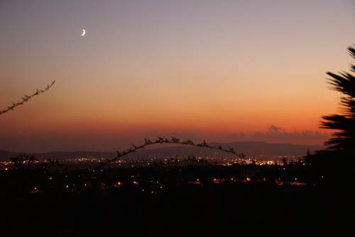 Фото Pensione Bencistà