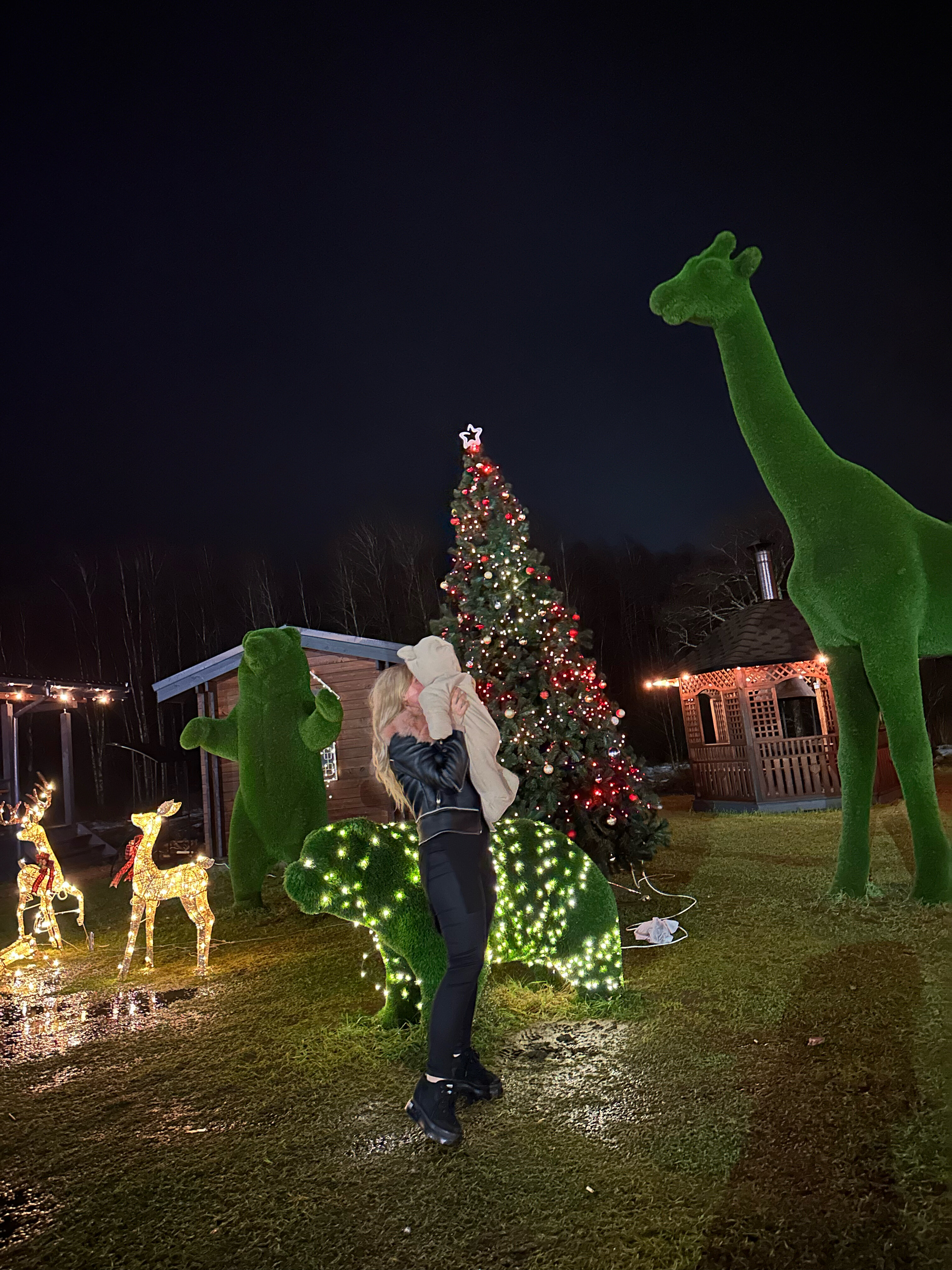 Фото Фазенда