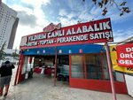 Yildirim Live Trout (Konya, Selçuklu, Yeni Sille Cad., 7A) ، الأسماك والمأكولات البحرية