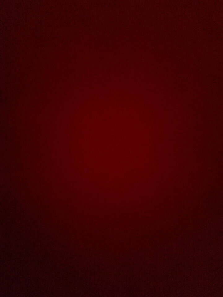 Accountants Serbest Muhasebeci Mali Müşavir Halise Çam Sis, Izmir, photo