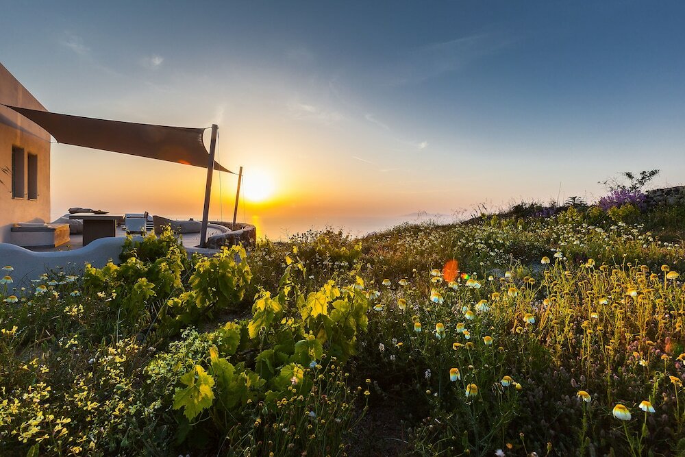 Фото Villa Vinea