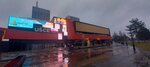 Фабрика цвећа (Mihajla Pupina Boulevard, 4) ، محل زهور