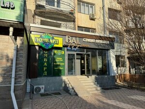 Bal (Nursát shaǵyn aýdany, 33), hairdresser