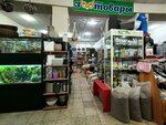 Магазин зоотоваров (Molodyozhniy Boulevard, 36), pet shop