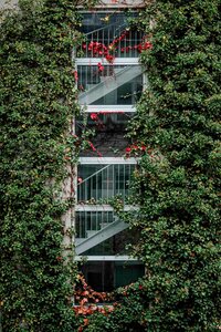 Гостиница Boutique Hotel Atrium München