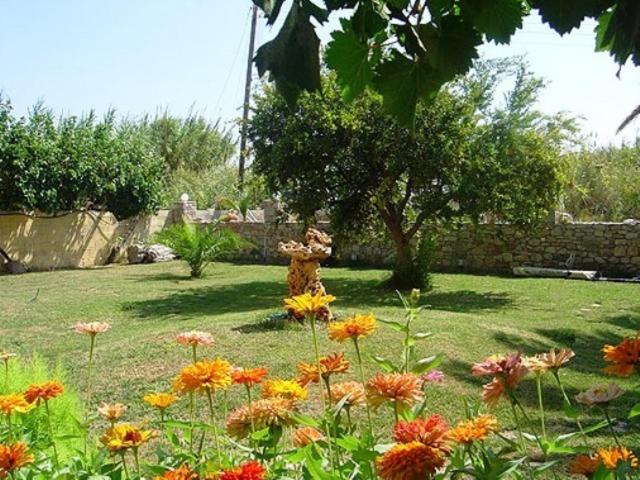 Фото Dimitra Apartments