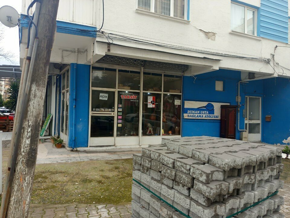 Music store Duman Master Binding Workshop, Izmir, photo