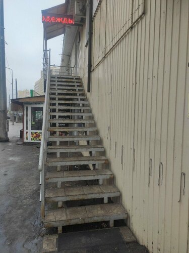 Трусики жоқ жапон әйелдері