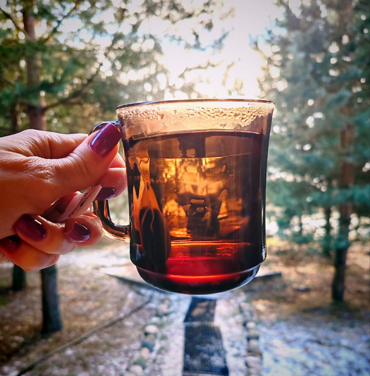 Фото Экопарк Богослово