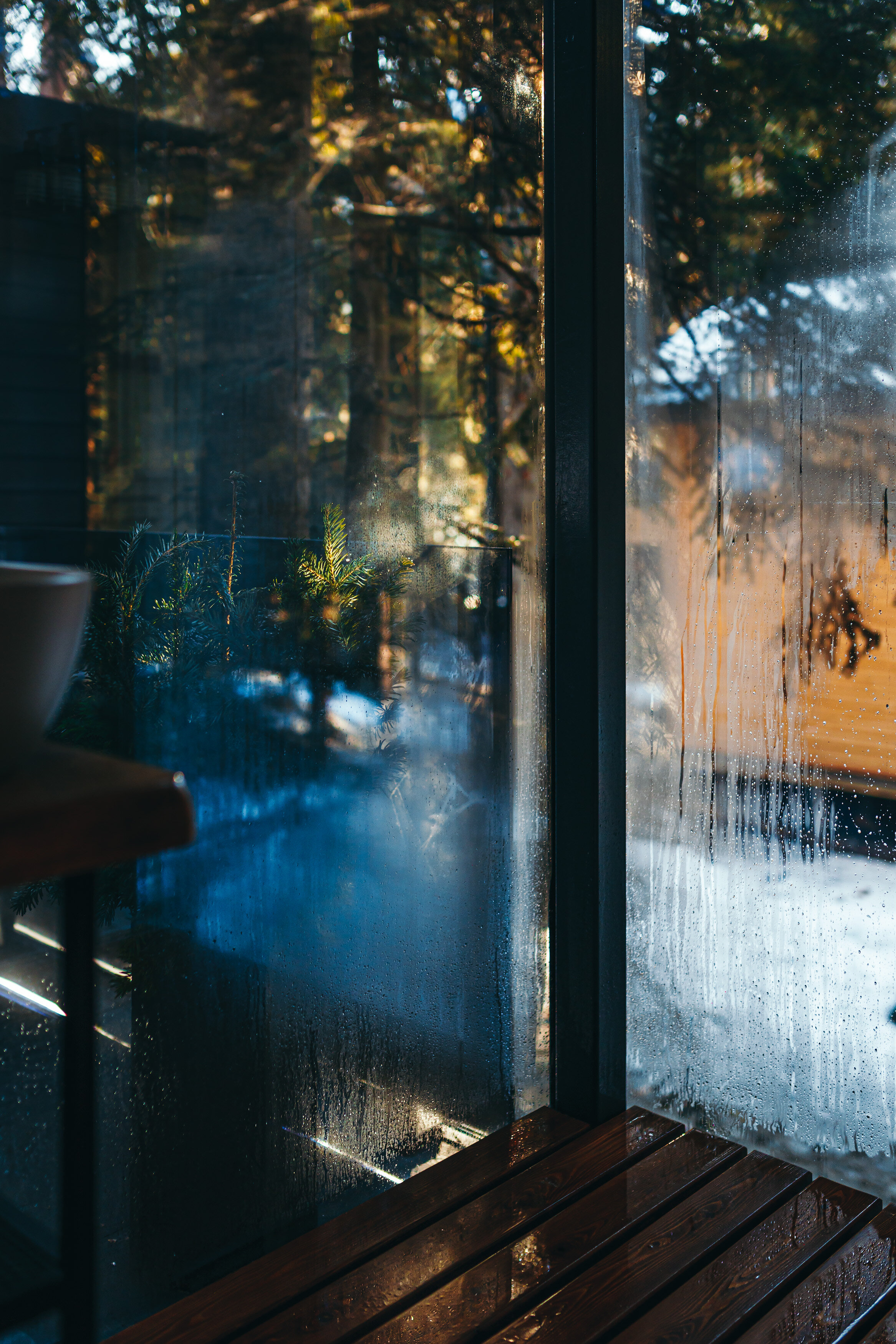 Фото Magic Forest