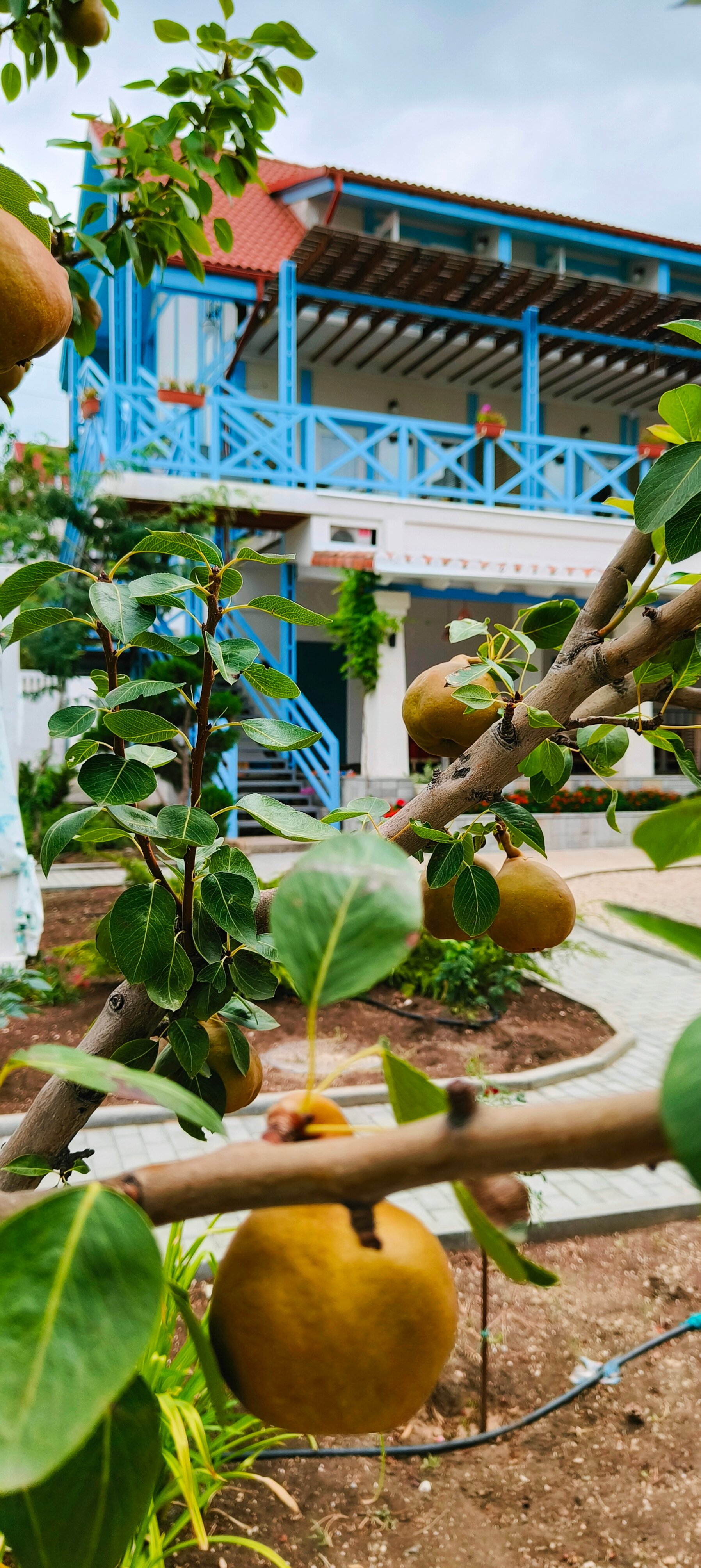 Фото Родина