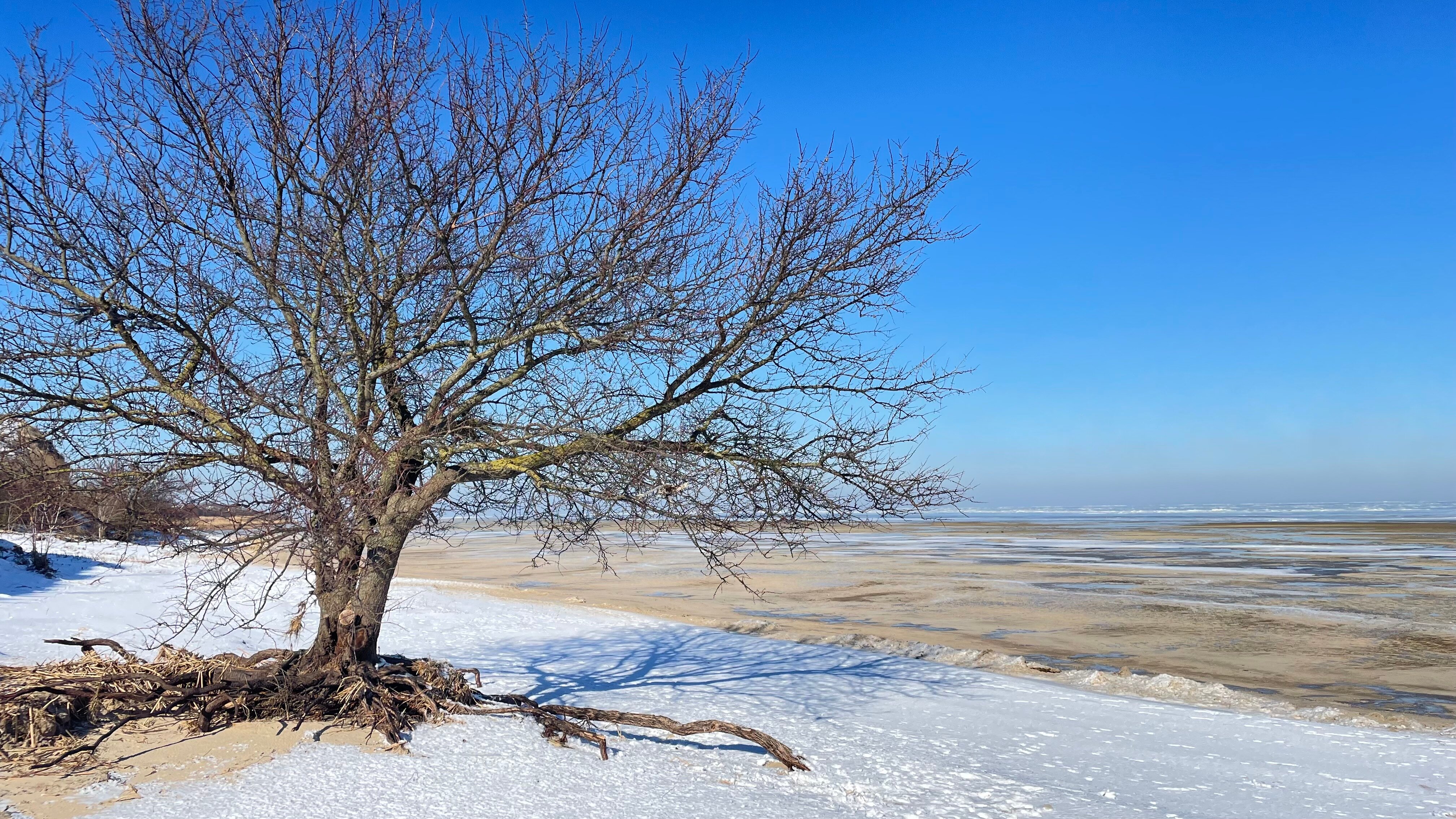 Фото Ресурсница