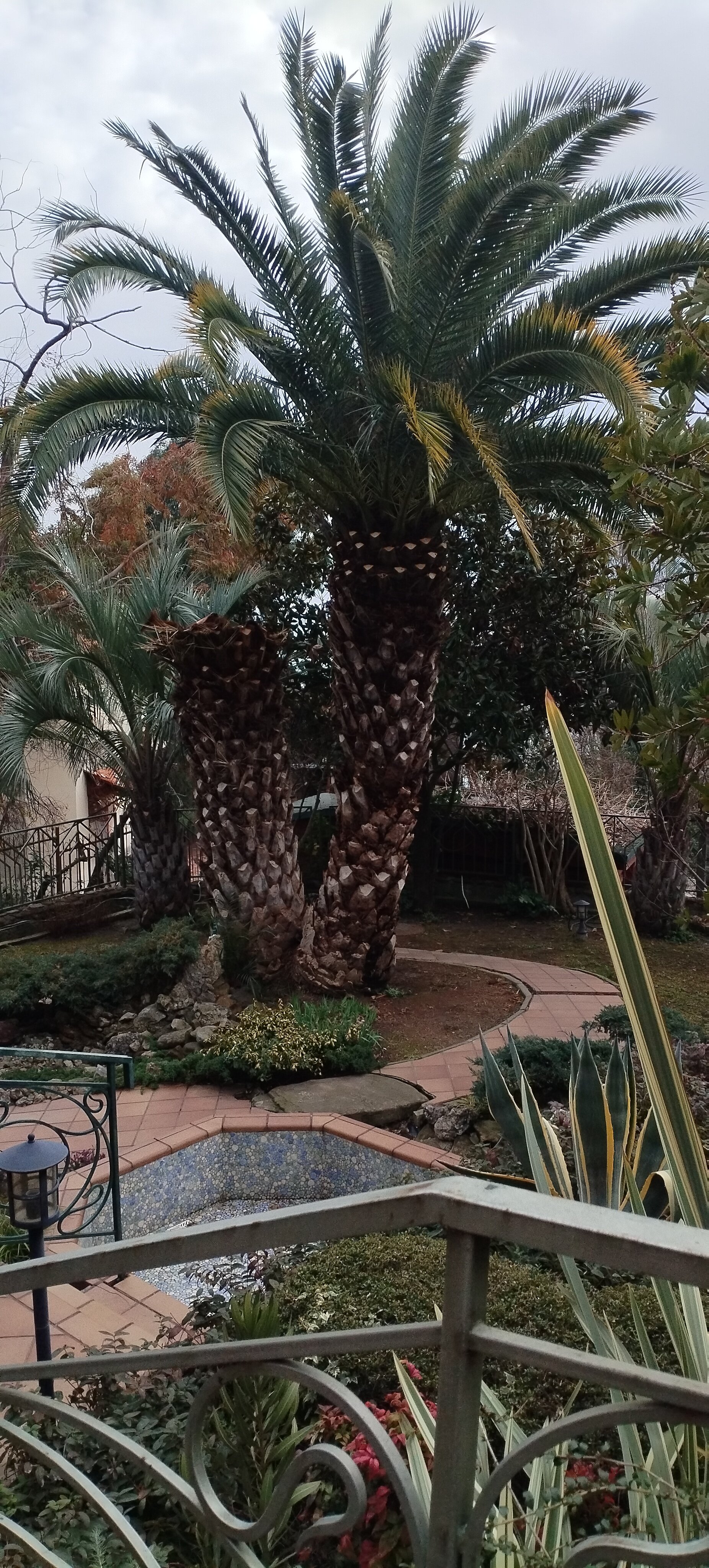 Фото Вилла Мэй