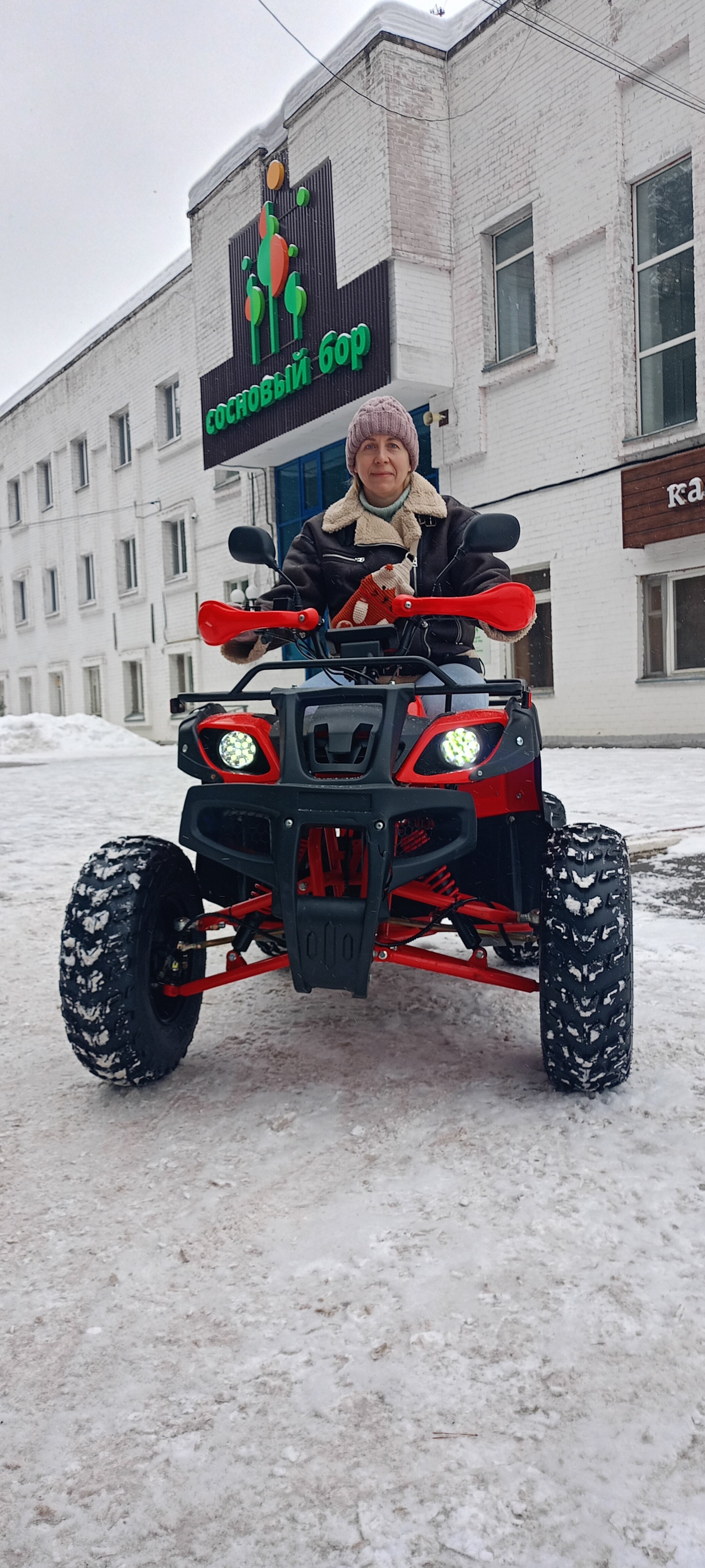 Фото Сосновый бор