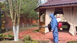 Profi Klop (Revolyutsionniy Avenue, 52/39), desinfección, desinsectación, desratización