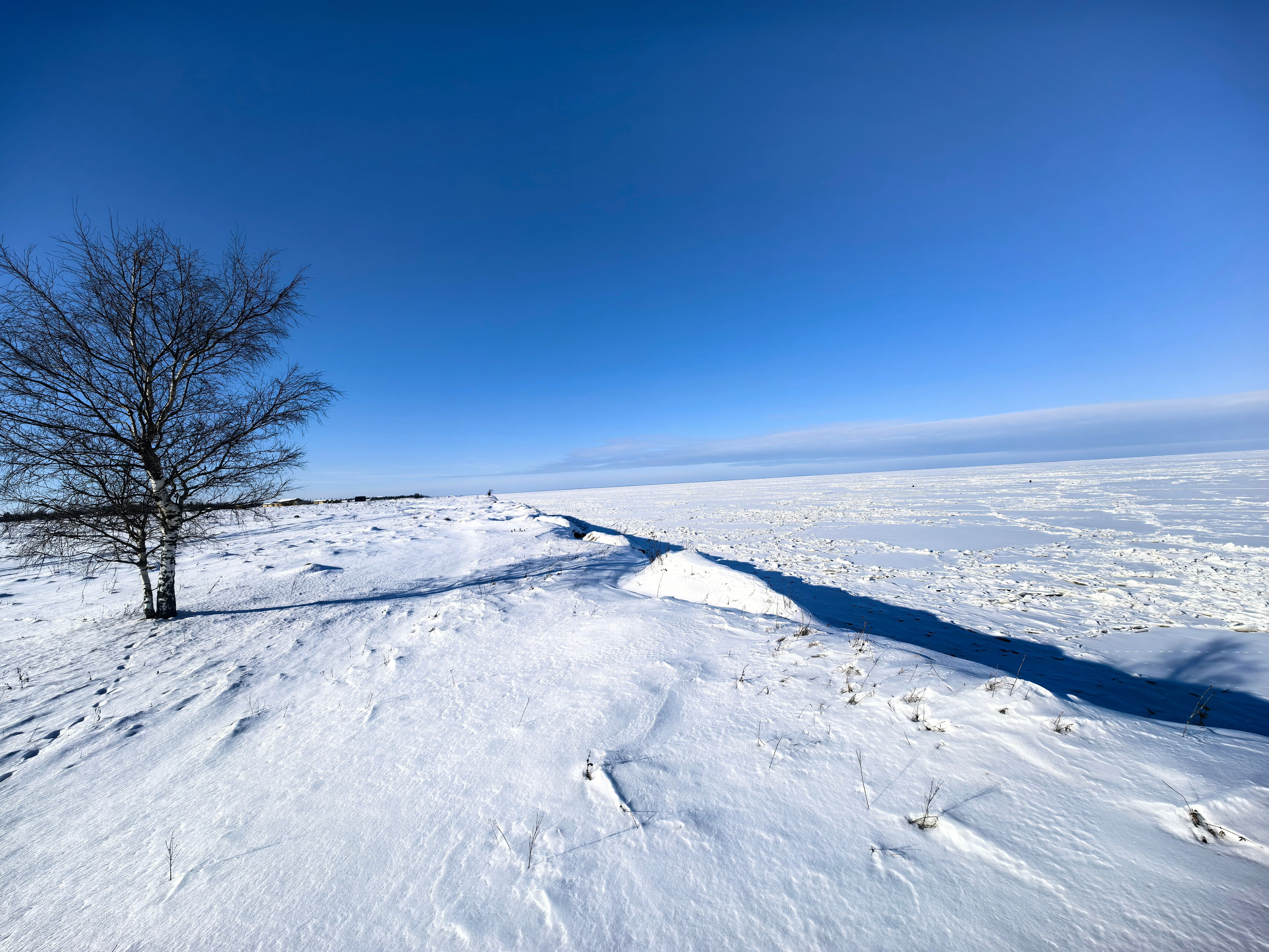Фото Усадьба Южный Берег