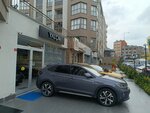 Yalchin Motors (Istanbul, Gaziosmanpasa, Merkez Neighborhood, Cukurbosna Avenue, 65H), car dealership