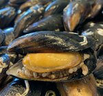 Kıyı Midye Manavgat (Antalya, Manavgat District, Bahcelievler Neighborhood, Democracy Boulevard, 49), restaurant