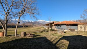 Chubini Winery & Cabins (Kakheti, Qvareli Municipality), hotel