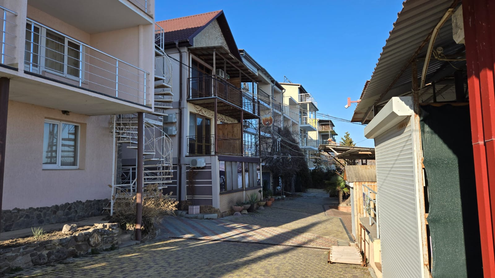 Фото Горная лаванда