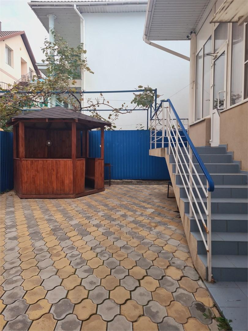 Фото Афалина