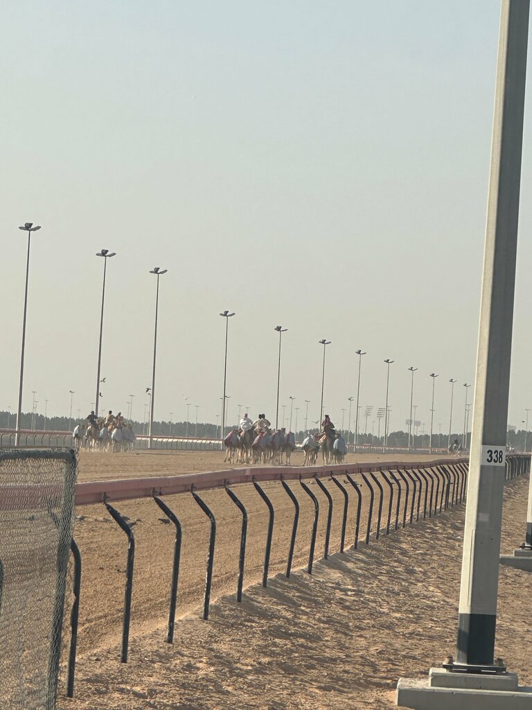 Horse racing track Camel Race Track, Emirate of Dubai, photo