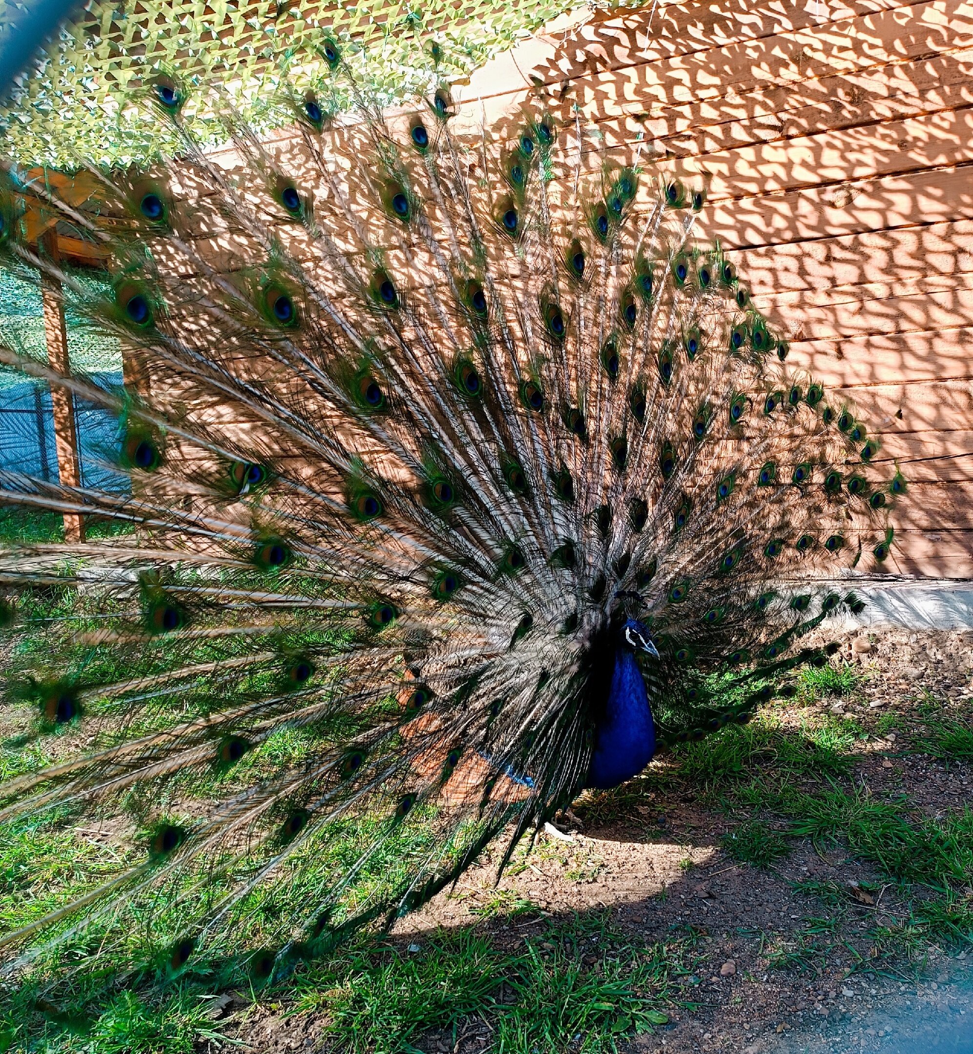 Фото СчастьеЛюбитТишину