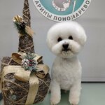 Our Groomer (Moskovskiy Avenue, 163к2), pet salon