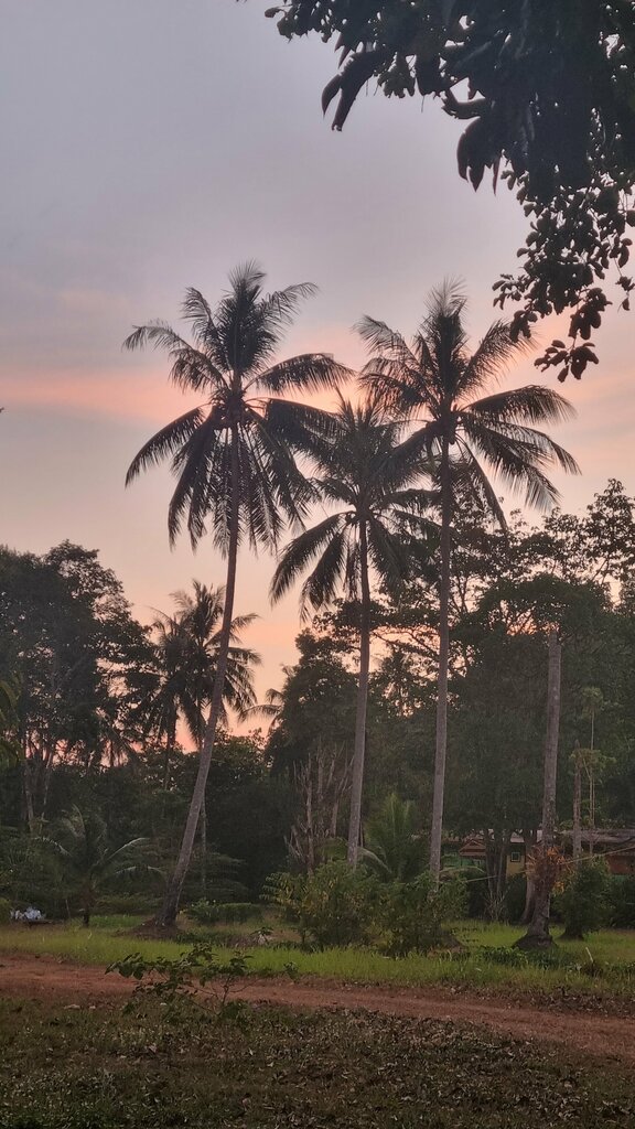 Hotel Fine Times Resort, Ko Chang, photo