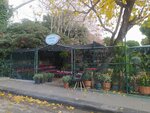 Natural Landscape (İstanbul, Kadikoy, Suadiye Mah., Kazım Özalp Sok., 43), landscape design