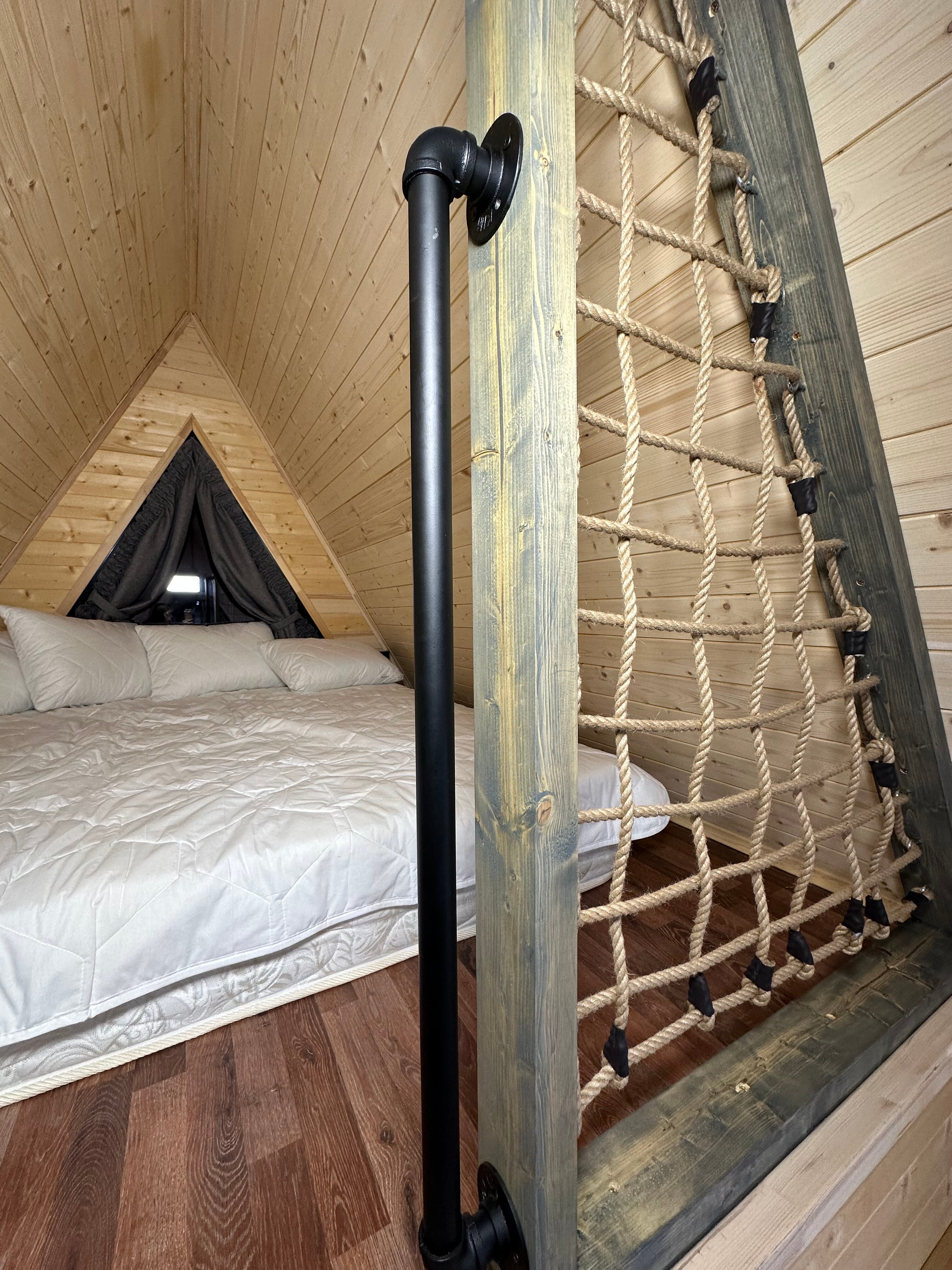 Фото Караси