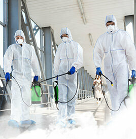 Private experts Opak Management Services, Istanbul, photo