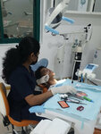 Rose Dental Center (741, Al Muntasir Road, Nakheel, Sector 3, Ras Al Khaimah), dental clinic
