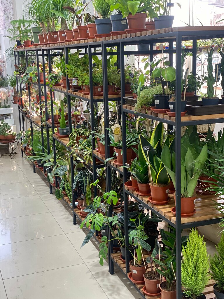 Магазин цветов Цветочница, Артём, фото