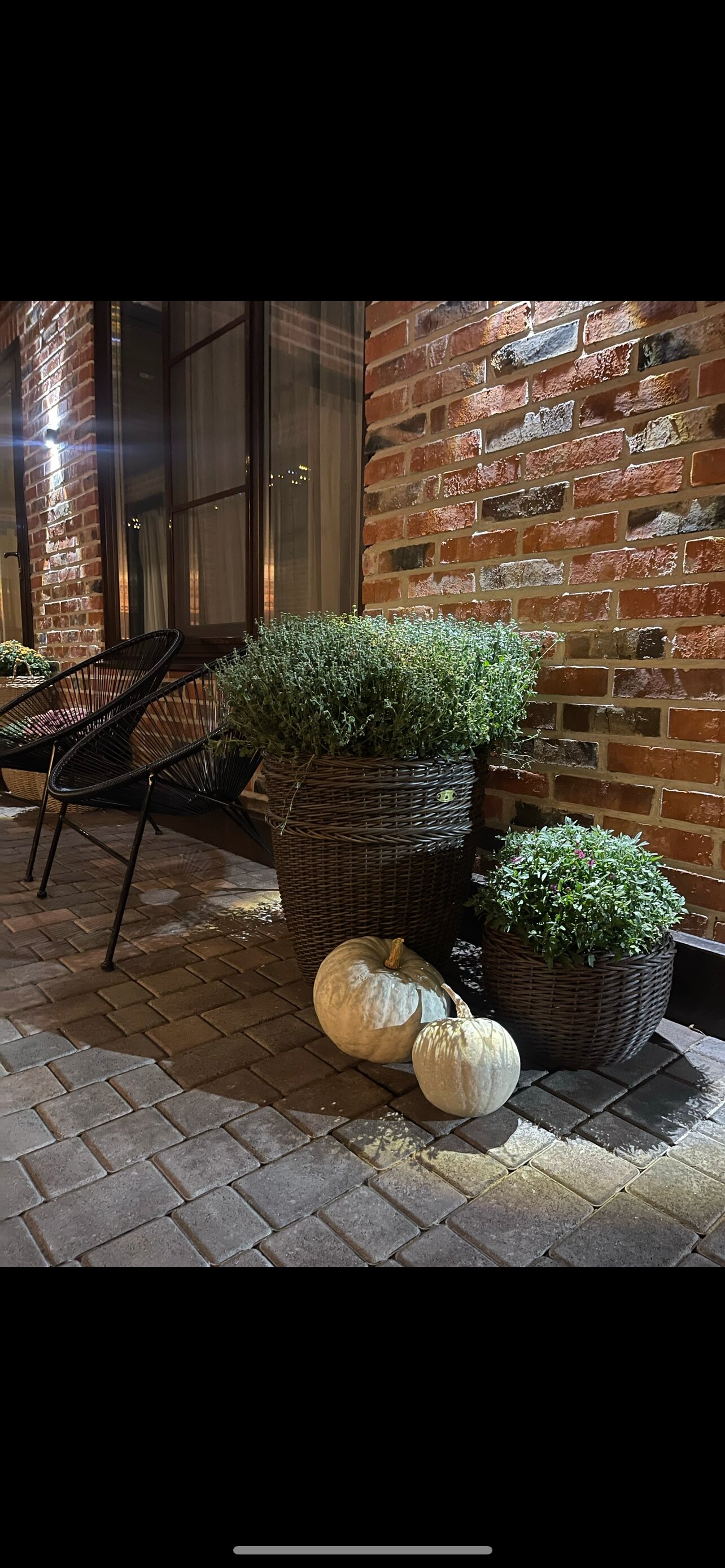 Фото Green forest