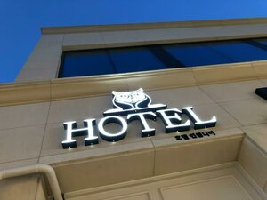 Гостиница Hotel Insomnia