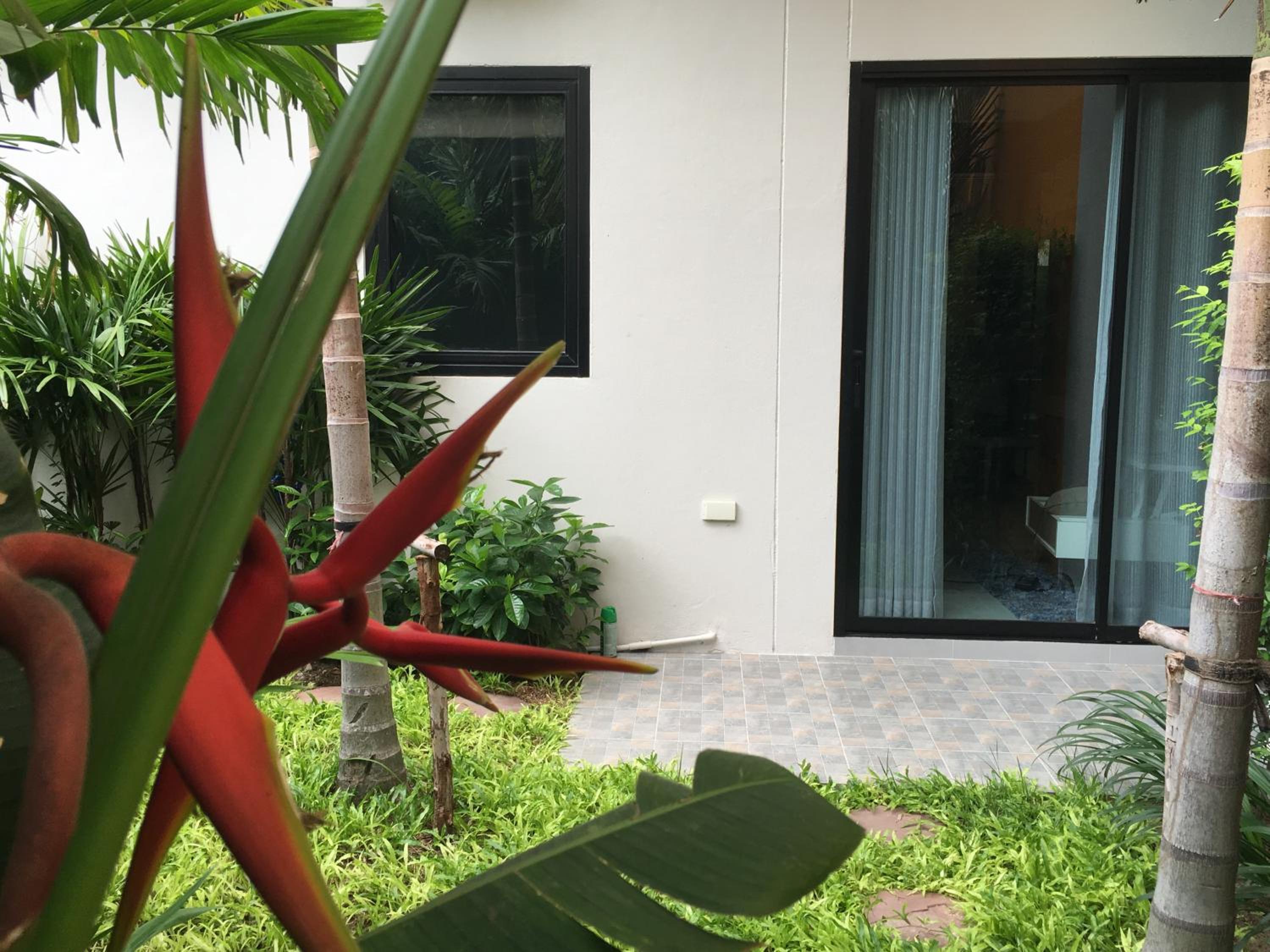 Фото Tandeaw View