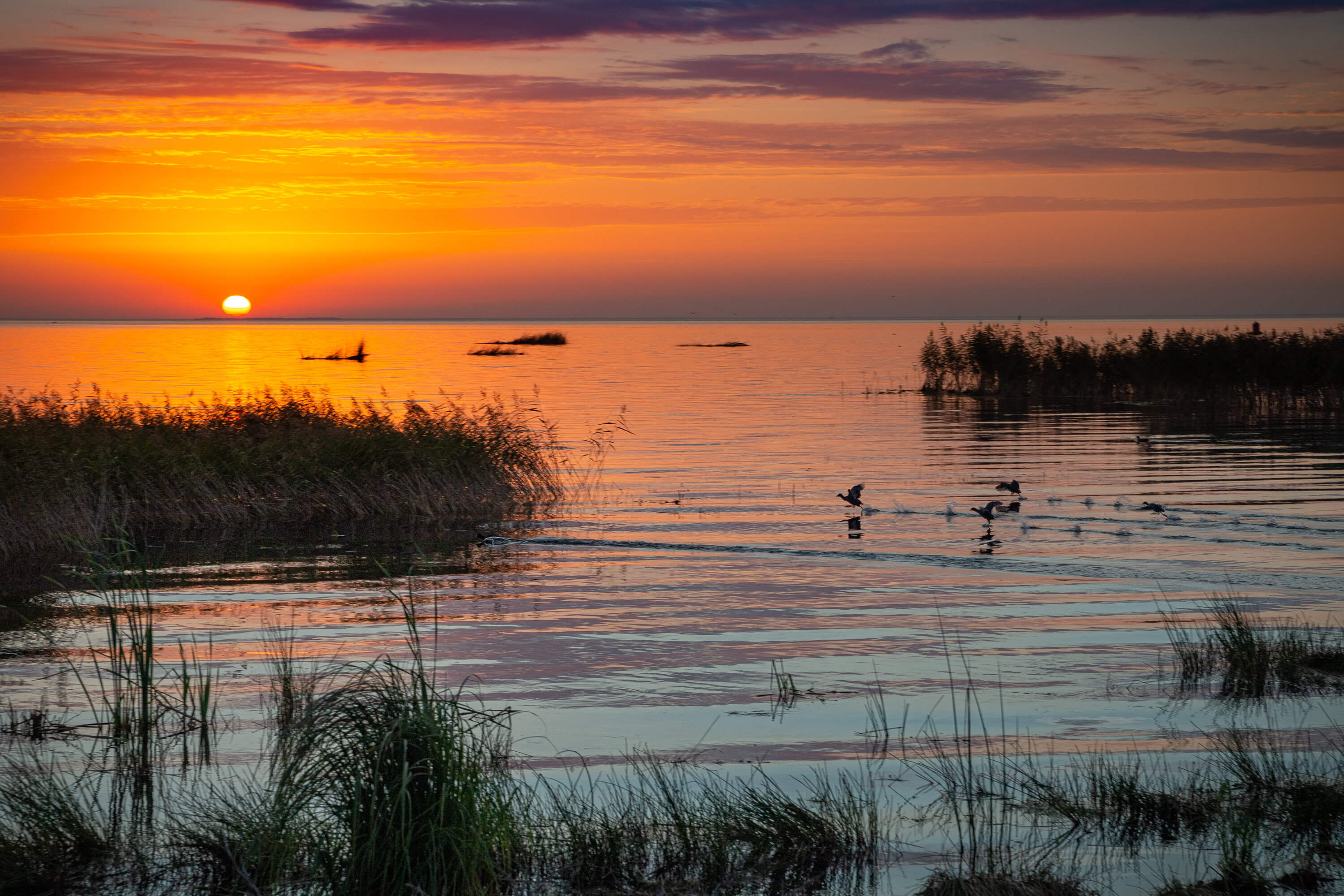 Фото Кошкинский фарватер