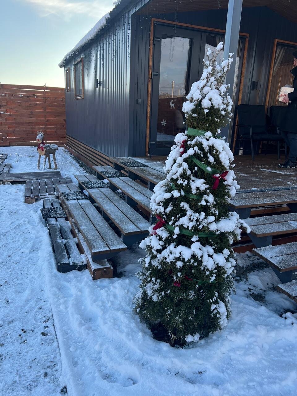 Фото Сердце Отрадного