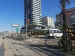 Bernaz Landscaping (Ankara Province, Cankaya District, Bademlidere Mah., 242. Sok., 26) ، مركز الحديقة