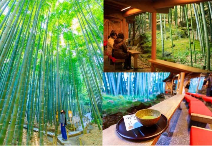 Фото Gen Hotel Kamakaura