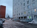 Общежитие № 4 Сибирского федерального университета (Krasnoyarsk, Svobodny prospekt, 81В) ، سكن