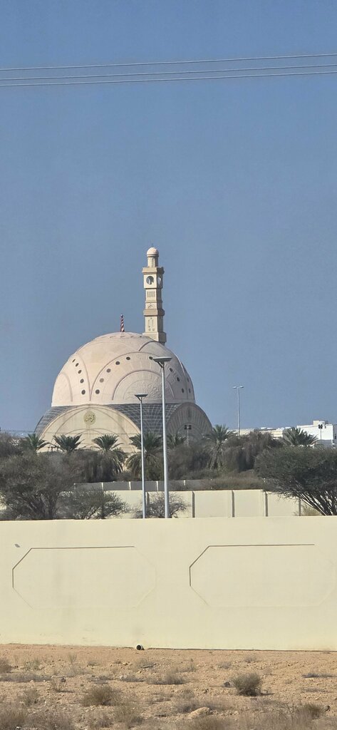Mosque Jamea Al Islam, Earth, photo