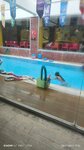 Aqua Tots Etiler (İstanbul, Besiktas, Etiler Mah., Seher Yıldızı Sok., 23), swimming pool