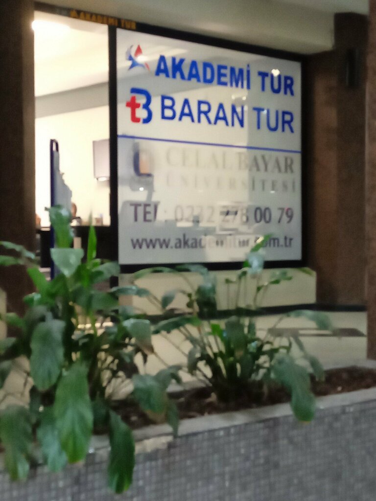 Services of movers Academy Tour, Izmir, photo